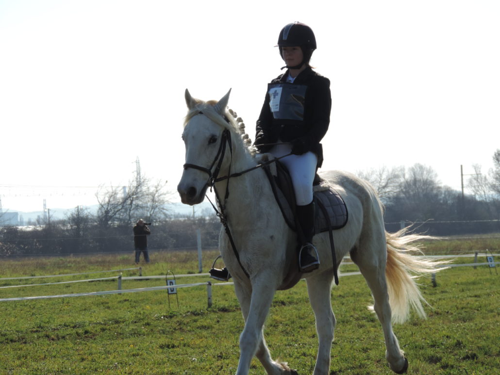 Les disciplines équestres - Equitation - Doctissimo